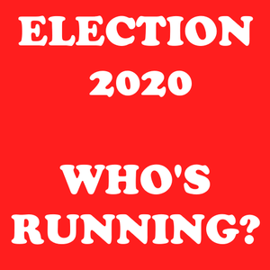 2020 Political Races - Candidate List